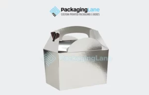 Custom Silver Foil Boxes Packaging